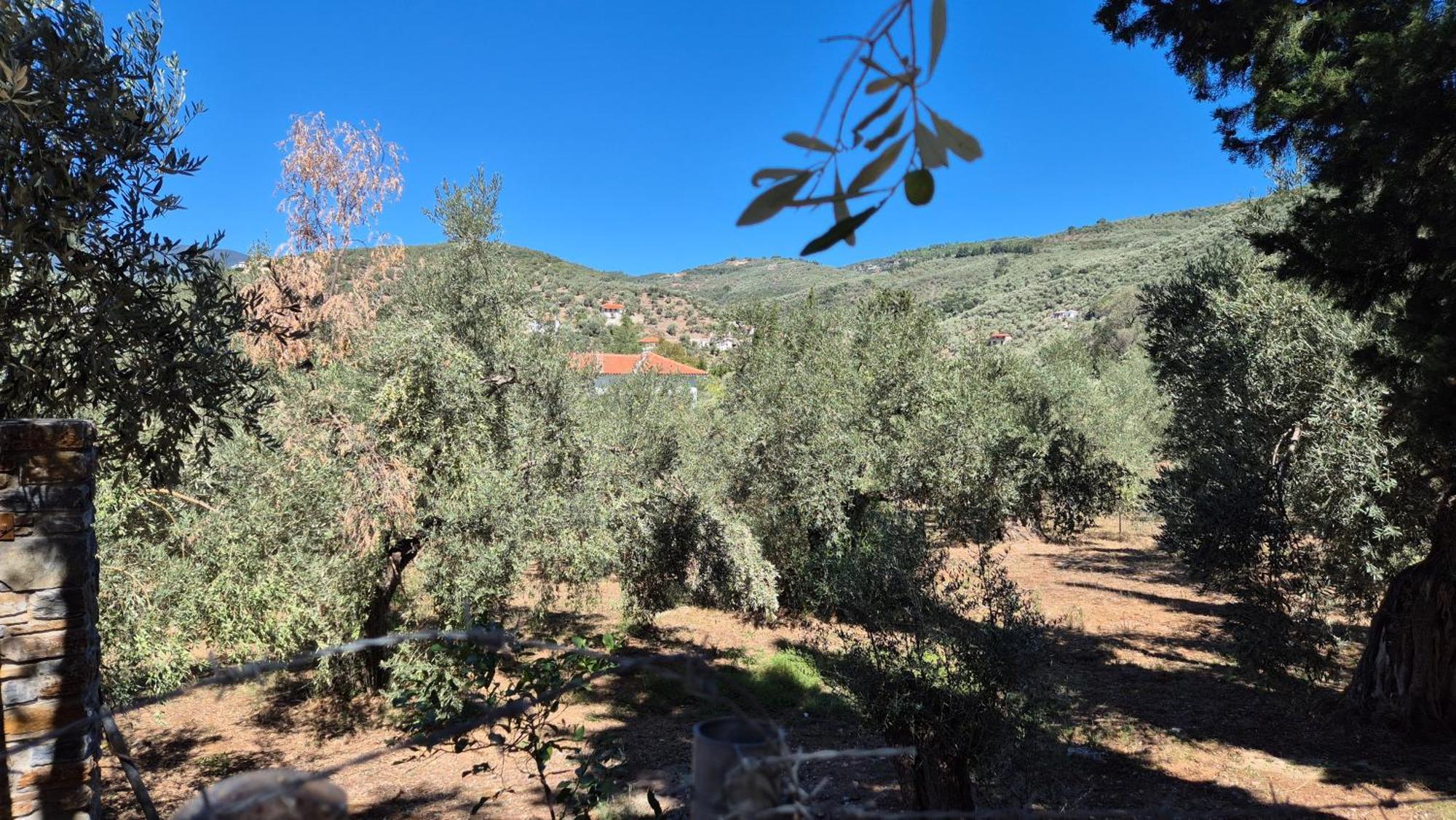 Villas On The Rock Афисос Екстериор снимка